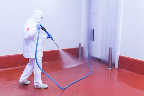 Best Animal Enclosure Cleaning  in Gypsum, CO